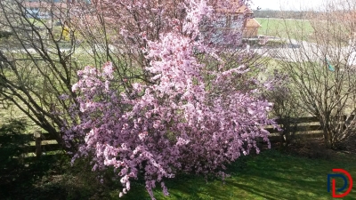 Bild Designer Liege Hersteller Cassina